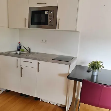 Apartment Simplex Am Ludwigsplatz